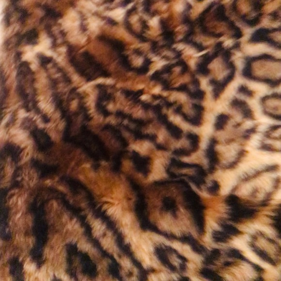 Stylish Plush Leopard Accent Rug Approx 60”x90” - Picture 4 of 6